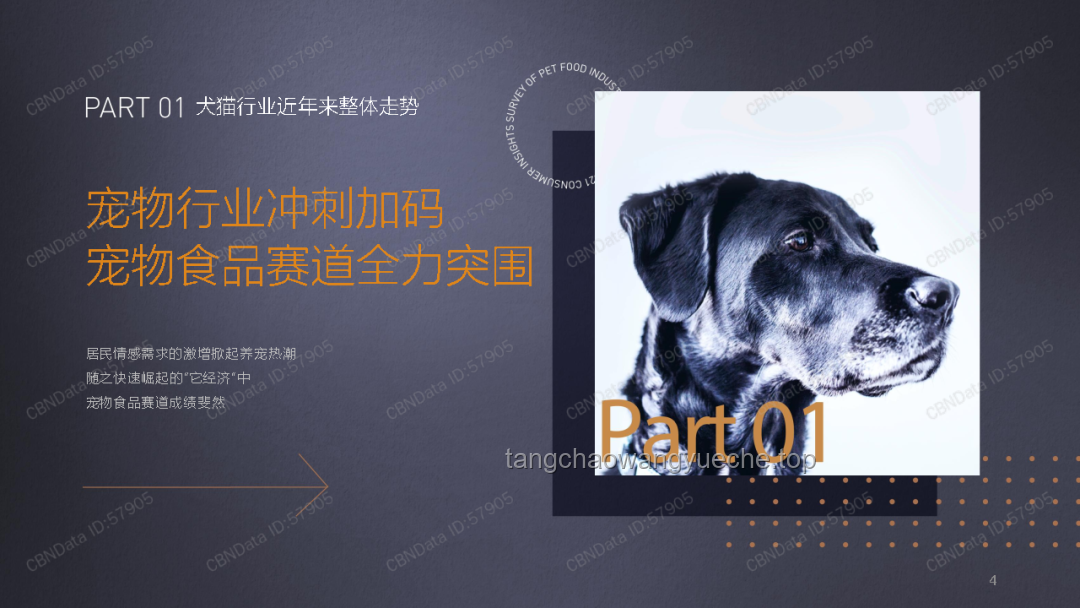 哈基米现象下的宠物经济深度洞察：宠物陪伴、情感消费、产业升级